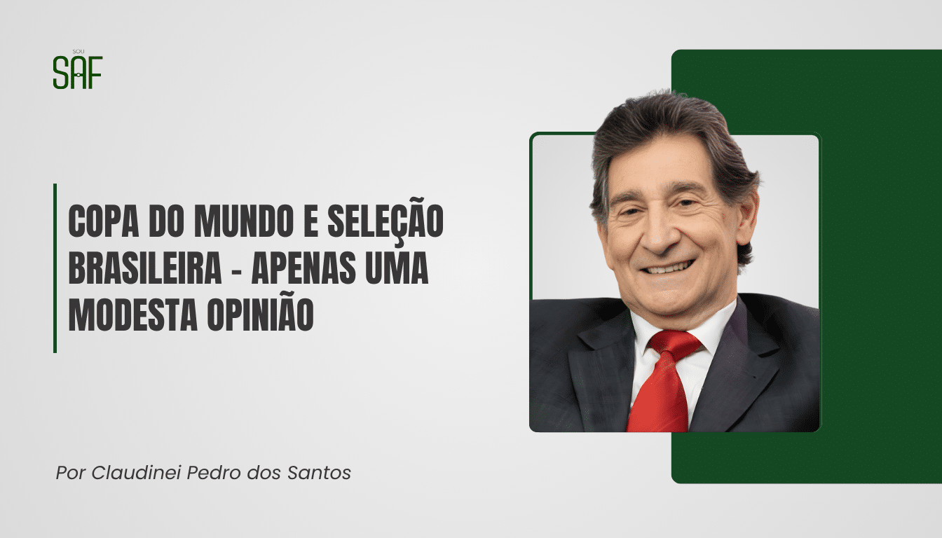 Copa do Mundo e Seleção Brasileira - apenas uma modesta opinião