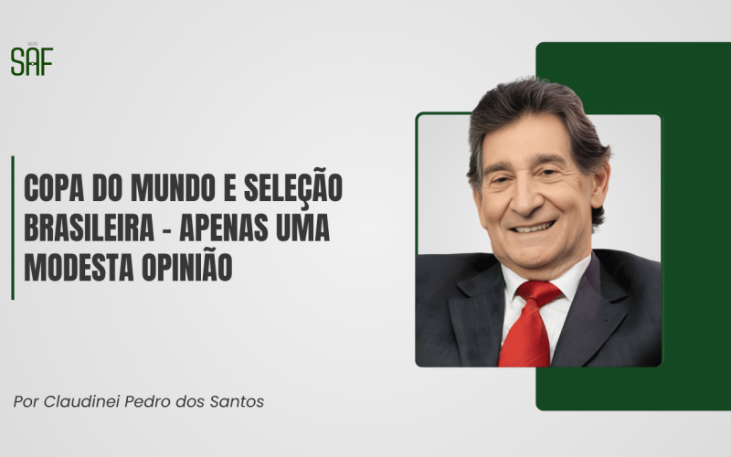 Copa do Mundo e Seleção Brasileira - apenas uma modesta opinião